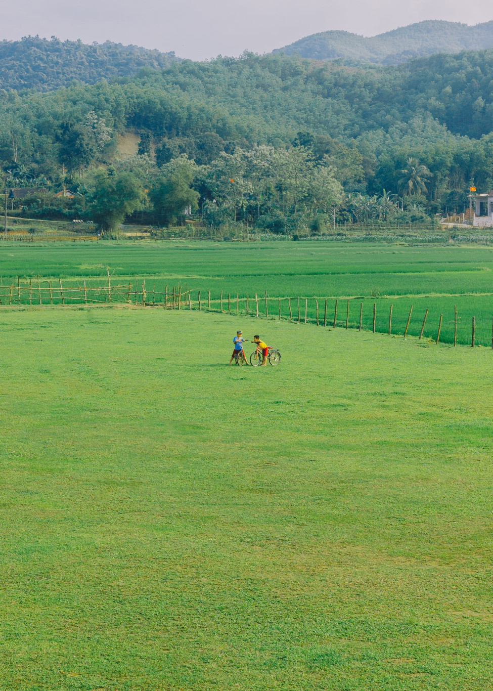 Ảnh: C&aacute;p Lộc H&agrave;n Vũ